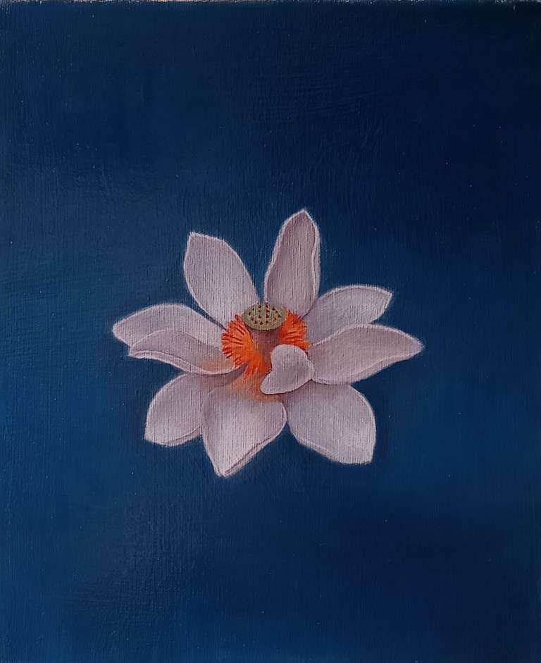 Lotus Flower 2 - oil on canvas - 25 x 30 cm - 2024