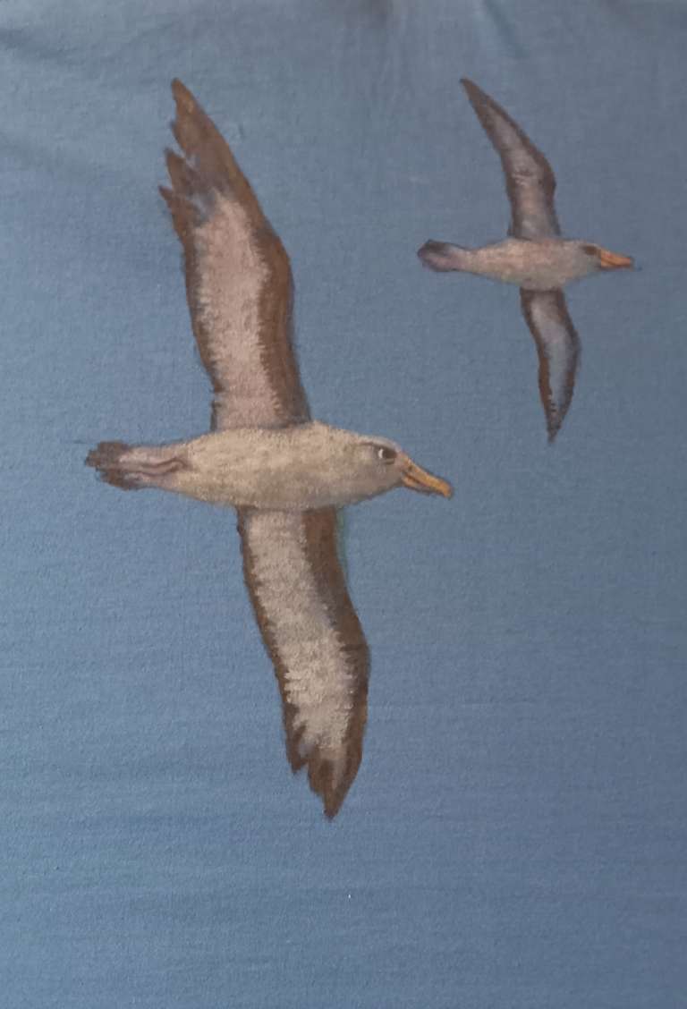 Albatross back - hand painted T shirt - fabric paint - 2024