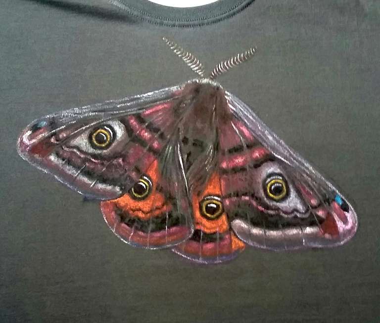Emperor Moth - hand painted T shirt - fabric paint - 2020